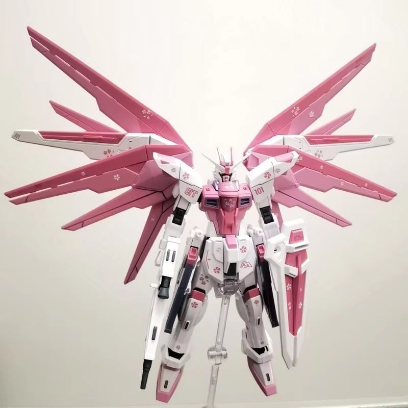 JMS HG 1/144 ZY-06 Freedom Ass - Bandai Model Gundam Hg recensione e prezzo